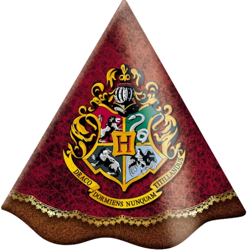 Chapeu Harry Potter Festcolor
