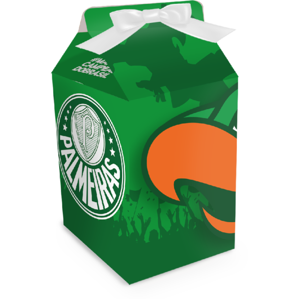 Caixa Milk Palmeiras 08un Festcolor